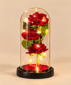 Rose éternelle sous cloche